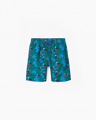 Item: Dragon Zippy Bermuda Swimsuit Dragon Zippy Bermuda Swimsuit