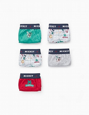 underwear set of 4 pieces zippy