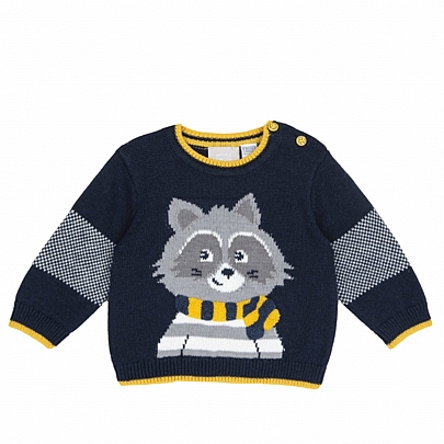 chicco raccoon sweater - Blue