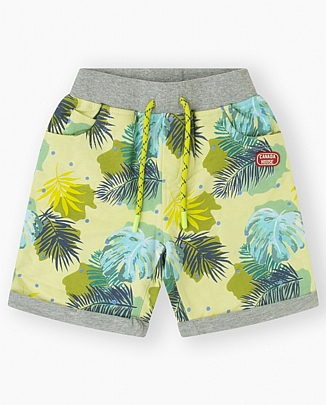 shorts CANADA House - Lime