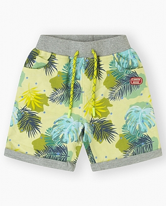 Item: shorts CANADA House - Lime shorts CANADA House - Lime